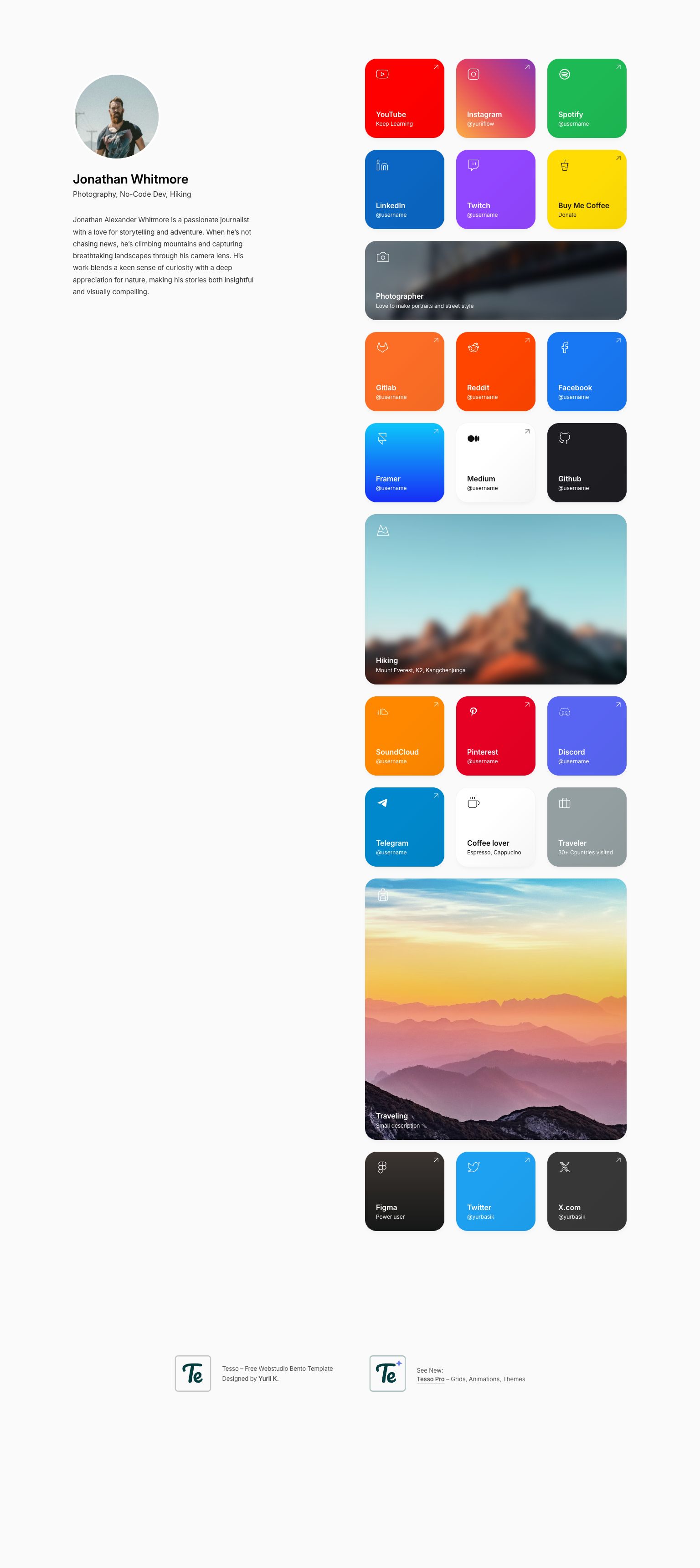 Screenshot of the Tesso template